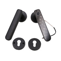 Precio de fábrica Cerradura de manija inteligente Manija de puerta inteligente con cerraduras Casa Ttlock Tuya Código Huella digital Cerradura de entrada sin llave para exteriores