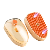 Nouvelle brosse à vapeur rechargeable 4 en 1 pour le massage des animaux de compagnie, le nettoyage, la pulvérisation d'eau, l'épilation, brosse à vapeur pour chat avec lumière