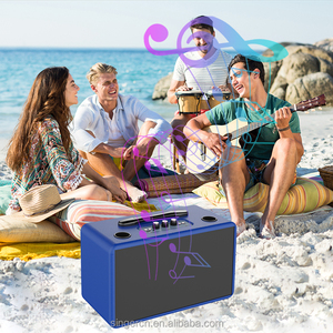 M5501 M5502 Altavoz de Gran Potencia con Doble Woofer de 5 Pulgadas, Caja Acústica Clásica Tipo Maleta, Altavoz con Gabinete de Madera - Product Image 6