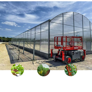 Invernadero de policarbonato ecológico grande directo del fabricante con panel de luz solar para plantar para la construcción de invernaderos - Product Image 5