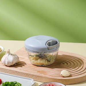 Manual Garlic Mincer Food Grade Stainless Steel Household Kitchen <b>Tool</b> For Garlic Ginger Onion Mincing With Lid And Blade <b>Set</b> - Product Image 1