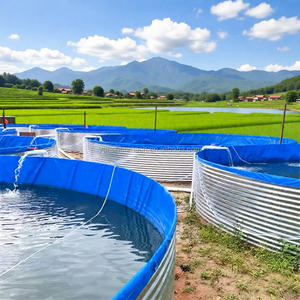 <span class=keywords><strong>บ่อ</strong></span>เลี้ยง<span class=keywords><strong>ปลา</strong></span>เหล็กชุบสังกะสีทรงกลมแบบกำหนดเองพร้อมแผ่นรองพีวีซี ถังเพาะเลี้ยงสัตว์น้ำแบบ OEM สำหรับการเลี้ยงปลานิล 5000-50000 ลิตร - Product Image 4