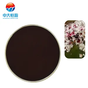 Natural Red Pigment Wholesale Cochineal Carmine Extract Powder