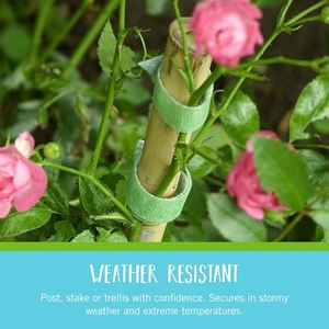 Attaches réglables pour plantes de la marque For Brand |   Ruban de jardin vert de 75 pieds x 1/2 pouce |   Support de plante réutilisable à découper sur mesure avec fermeture auto-agrippante, écologique - Product Image 2