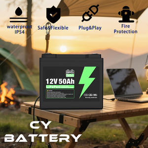 OEM/ODM 6000 사이클 <span class=keywords><strong>12V</strong></span>/24V 50/100/200/300AH 리튬 LiFePO4 배터리 전기차 에너지 저장 시스템용 - Product Image 6