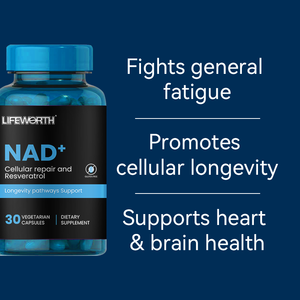 평생 노화 방어 및 뇌 기능 최대 흡수 NAD + 보충 캡슐 - Product Image 2