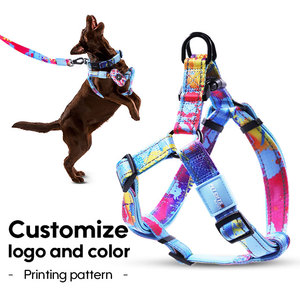 Sovan <strong>Dog</strong> Collar Leash Set Adjustable Lightweight Eco-Friendly Textile Pet Harness Fashion Comfortable No Pull Leash Small - Product Image 1