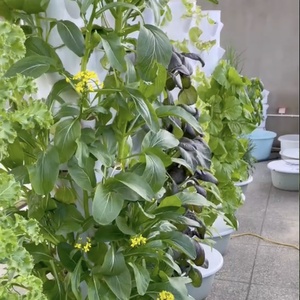 Thương mại aeroponic tháp vườn hệ thống hiện đại hydroponic phát triển tháp hệ thống với tích hợp LED chiếu sáng-5-13 lớp - Product Image 3