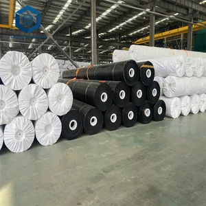 Malezya'da balık havuzları için 30 Mil Hdpe Liner rulo açık özel gölet gömlekleri