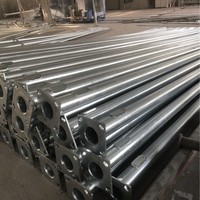 Personalizado al aire libre 9m 10m 12M doble brazo único precio acero galvanizado batería Solar poste de luz de calle postes de lámpara