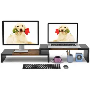 Monitor Stand Riser - 2 Shelf Computer Stand with Adjustable Length and Angle, Desktop Organizer Stand for PC, Computer, Laptop