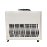 Refroidisseur d'eau industriel portable de 10 kW, petit refroidisseur industriel à recirculation pour cuve de fermentation