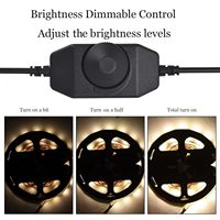 Bouton rotatif PWM professionnel 6A avec prise DC 5,5x2,1 mm, câble de commande USB marche/arrêt 12V-24V pour le contrôle des bandes LED