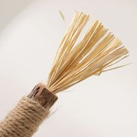 Kat Zilveren Wijnstok Kauwstok Galfruit Raffia Interactieve Tandjes Speelgoed Voor Tandheelkundige Verzorging Kat Kies Tandstok Speelgoed Huisdier Kauwen Speelgoed