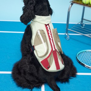 Chaleco Refrigerante de Doble Uso, Seco y Húmedo, para Alivio del Calor, Duradero, Delgado, Ecológico, de Poliéster, para Perros <span class=keywords><strong>Basset</strong></span> <span class=keywords><strong>Hound</strong></span> - Product Image 5