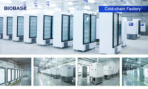 BIOBASE-Incubadora de control de temperatura y humedad para pruebas industriales de alimentos, 200l, BII, 200L - Product Image 6