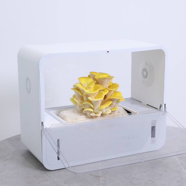 Mini Greenhouse Automatic Time Smart Planting System Mushroom Growth Box With Smart Pump Mushroom Smart Mini Greenhouse