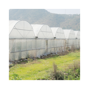 <span class=keywords><strong>Serre</strong></span> de culture commerciale en plastique, 3 pièces, usage commercial ou de jardin - Product Image 3