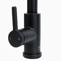 Robinet de cuisine moderne en laiton à double poignée avec douchette extractible et valve en céramique, eau potable directe pour appartements et cuisines d'hôtel