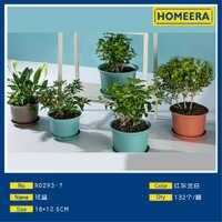 Commercio all'ingrosso 18x125CM variopinto grandi vasi di fiori di plastica pacchetto di 132 alla rinfusa per uso del giardino di casa tutti i giorni modello quadrato innaffiatoio - Product Image 1