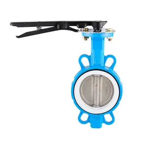 DN50 Pn10 Ductile Iron Disc 304 Soft Seal China Supplier Lug 8In Manual Handle Wafer Butterfly Valve