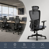 Chaise de bureau ergonomique exécutive en maille, prête à l'emploi, avec appui-tête réglable, mécanisme d'inclinaison à 4 verrous, double soutien lombaire, en nylon, pour l'école