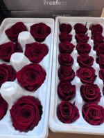 Naturecho 21 pièces/boîte Roses éternelles artisanales en boîte de luxe DIY Écologiques Longue Durée Origine Yunnan Fleurs de 2-3 cm