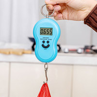 Balance numérique portable à suspendre, balance électronique à main pour bagages de 50 kg avec crochet