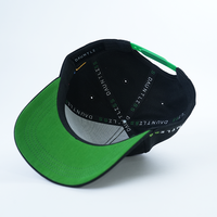 Aangepaste Hoge Kwaliteit 5 Paneel Gebogen Rand Katoenen Baseballpet, Voeg Borduurwerk Logo Gestructureerde Papa Hoed Toe