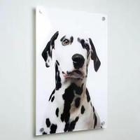 Art mural en acrylique personnalisé, impression UV couleur intégrale, panneaux d'affichage en acrylique, impressions photo murales en Perspex Lucite