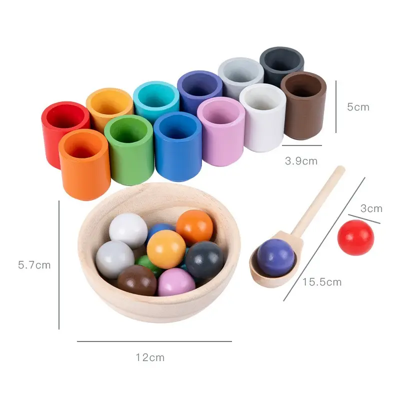 Ballon Montessori dans des tasses jeu de trieur de forme en bois 12 balles 30 Mm âge 1 + couleur tri et comptage apprentissage jouets éducatifs