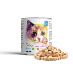 Alimento para gatos con sabor a salmón, OEM ODM alimento para gatos con dieta de prescripción, fábrica de golosinas para mascotas secas a granel - Product Image 1