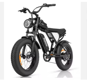 Bicicleta Eléctrica de Turismo de Alta Calidad, 48V 1000W, 25-30 mph, 50-75 Millas, Específica para Adultos - Product Image 2