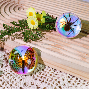 Real mariposa insecto pisapapeles colorido resina espécimen taxidermia resina insecto naturaleza exploración juguetes para niños - Product Image 1
