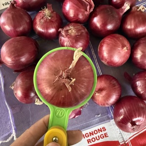 Cebolla Roja de Shandong, Cosecha 2026, 8cm, Fresca, 10kg, Producto de Rich Farmer, Enviada <span class=keywords><strong>a</strong></span> Canadá - Product Image 1