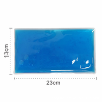 Bingzhen - Paquete de Hielo de PVC Reutilizable para Alivio del Dolor, Terapia Física, Compresa Fría y Caliente, 13*23cm, Paquete de Hielo de Gel de PVC