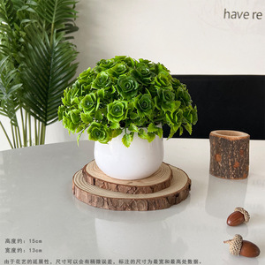 Mini arbustes artificiels en <span class=keywords><strong>plastique</strong></span> en <span class=keywords><strong>pot</strong></span> <span class=keywords><strong>pour</strong></span> la décoration de bureau ou de chambre - Product Image 4