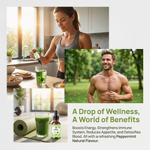 Qbioflex 59ml pur naturel végétalien <span class=keywords><strong>Splina</strong></span> menthe extrait de chlorophylle oral liquide gouttes en gros OEM supplément de marque privée - Product Image 3
