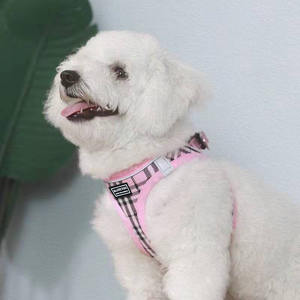 Nuevo gato perro mascota arnés Correa JK lindo perro ropa acolchada característica patrón sólido cintas pequeño perro arnés al por mayor - Product Image 4