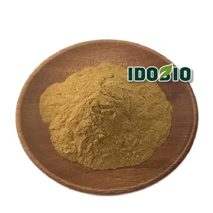 Fadogia Agrestis Stem Powder An Essential Component Of Mens Health