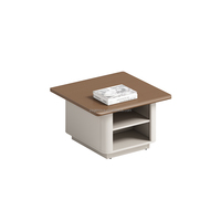 Petite Table Basse Rétro Moderne de Luxe en Métal Design Rectangle Simple avec Centre Mobile pour Salon Côté Lit ou Chambre