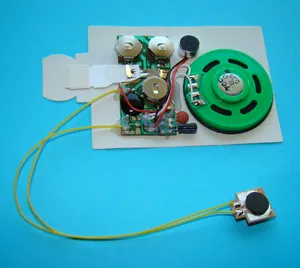 Programlanabilir ses çipi, önceden kaydedilmiş ses modülü peluş oyuncaklar