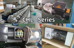 Pompe centrifuge multi-étages haute pression en acier inoxydable pour système d'osmose inverse industriel - Product Image 4