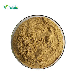 %100 Organik Polifenol Doğal Ekinezya Özü Ekinezya Purpurea Özü Tozu %1 %4 Polifenol Ekinezya Özü - Product Image 2