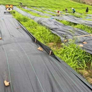 Malla Geotextil Tejida Anti-Hierba, Tela <span class=keywords><strong>de</strong></span> Control <span class=keywords><strong>de</strong></span> Malezas <span class=keywords><strong>de</strong></span> PP/PE para Jardín, Malla Anti-Hierba para Jardín - Product Image 6