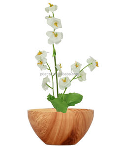 360 Spining Magnetische Levitatie Drijvende Lucht Bonsai Plant Boom Bloempot Voor Bruiloft Cadeau Promotie - Product Image 3