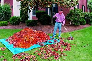 Lona Impermeable <span class=keywords><strong>de</strong></span> Polietileno <span class=keywords><strong>de</strong></span> 4x6 m <span class=keywords><strong>de</strong></span> Fábrica YRH, Lona <span class=keywords><strong>de</strong></span> Polietileno <span class=keywords><strong>de</strong></span> 120 g, Rollo <span class=keywords><strong>de</strong></span> Tela <span class=keywords><strong>de</strong></span> <span class=keywords><strong>Rafia</strong></span> - Product Image 5