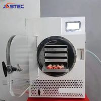 LG01 Mini Vacuümvriesdroger Huishoudelijk & Commercieel Liofilisator voor het drogen van voedsel, fruit, aardbeien, groenten en vlees