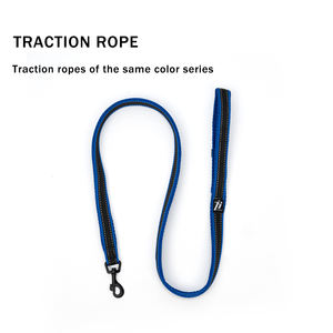 OEM azul personalizado <span class=keywords><strong>collar</strong></span> de perro poliéster cómodo elástico gato <span class=keywords><strong>collar</strong></span> Correa conjunto <span class=keywords><strong>collar</strong></span> de perro - Product Image 4