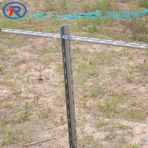 Poteaux croisés galvanisés à chaud de haute qualité pour vignobles et vergers de pommes - Product Image 3